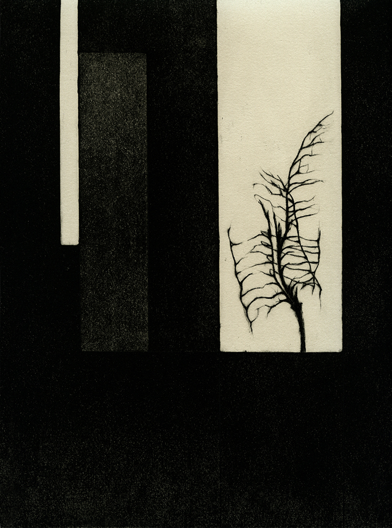 911 1, 2001. Etching and Aquatint, 12 x 9ins.