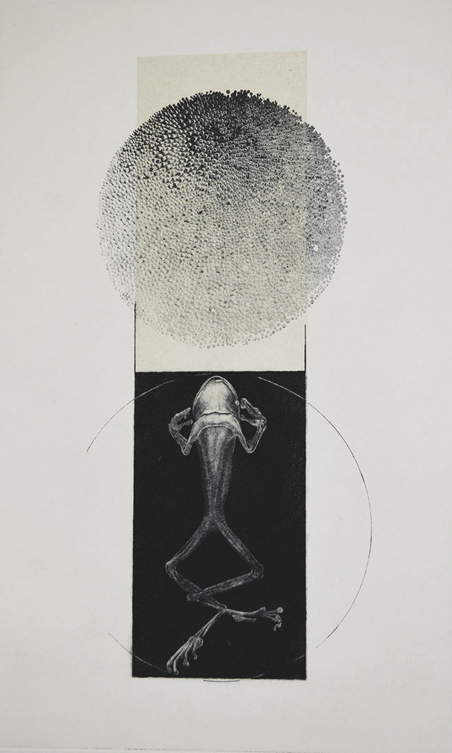 Aqua 1, Second State. 2015. Direct gravure, Photogravure, Etching, Chine Colle. 10x16ins.