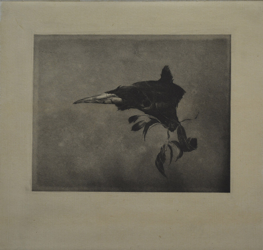 Bird II. 2018. Photogravure with chine colle. 10x11 ins.