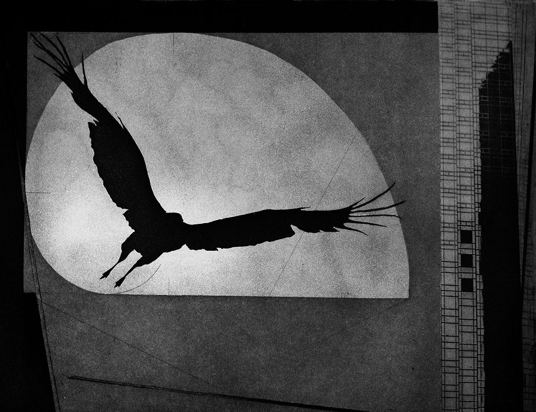 Flight, 2010. Photogravure and Etching, 10 x 13ins.