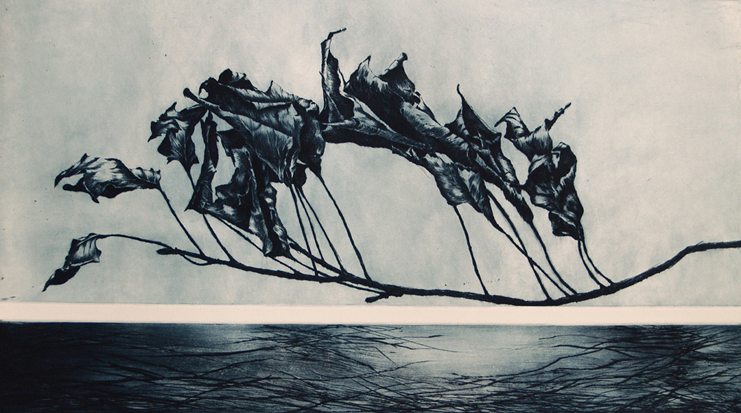 Ship-of-Fools-II-2001.-Drypoint-14-x-22ins