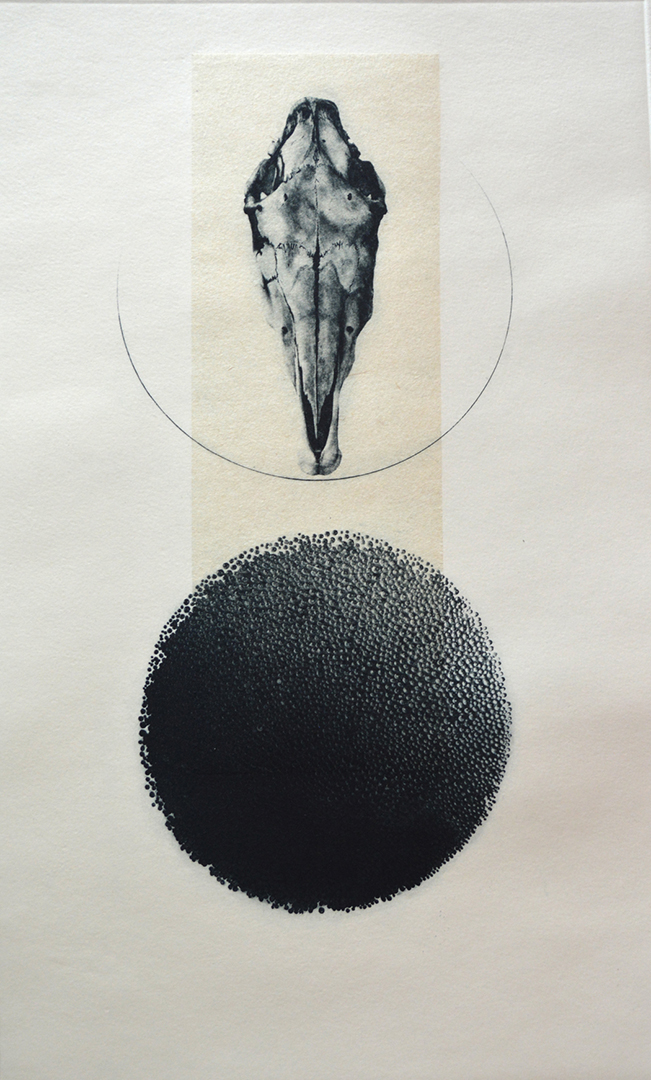 Aqua 2, Second State. 2015. Direct and Photogravure, Etching, Chine Colle, 16x10ins